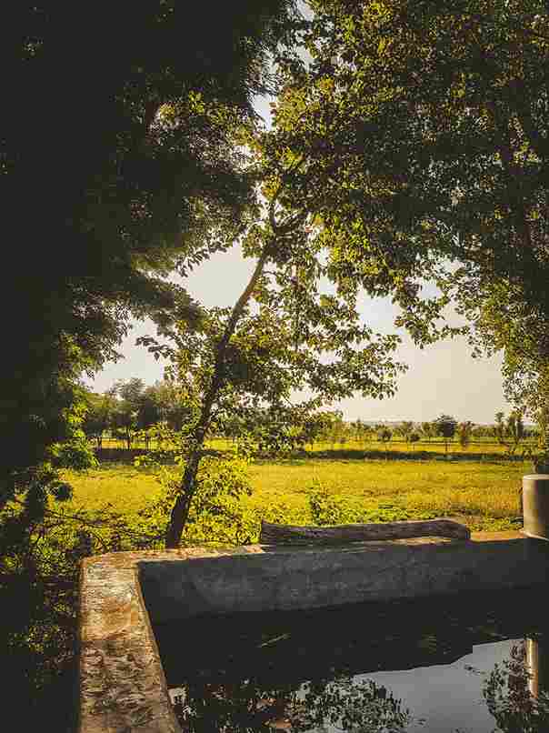 Golden Triangle Holiday Package