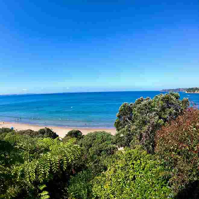 New Zealand Holiday Package